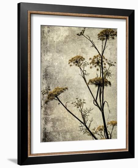 Big Sur Yarrow I-Honey Malek-Framed Art Print