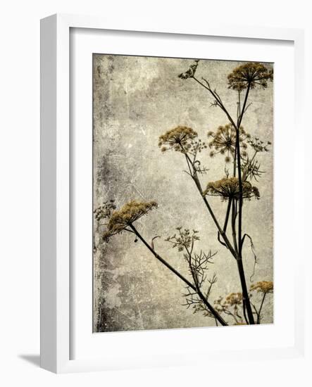 Big Sur Yarrow I-Honey Malek-Framed Art Print