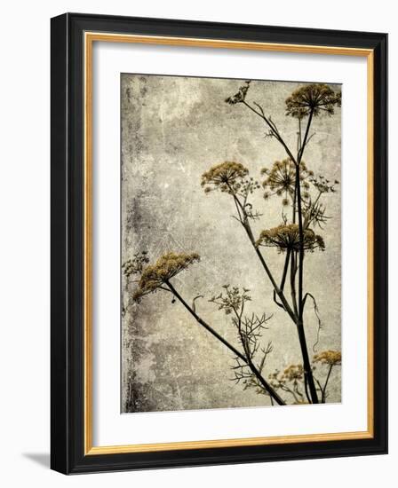 Big Sur Yarrow I-Honey Malek-Framed Art Print