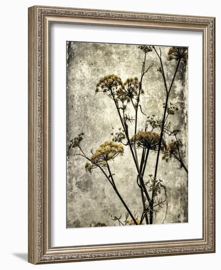 Big Sur Yarrow II-Honey Malek-Framed Art Print