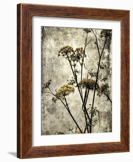 Big Sur Yarrow II-Honey Malek-Framed Art Print