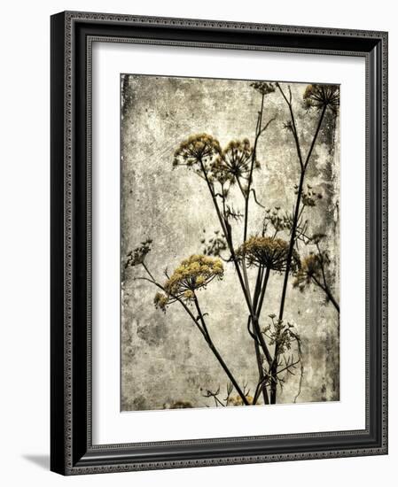 Big Sur Yarrow II-Honey Malek-Framed Art Print