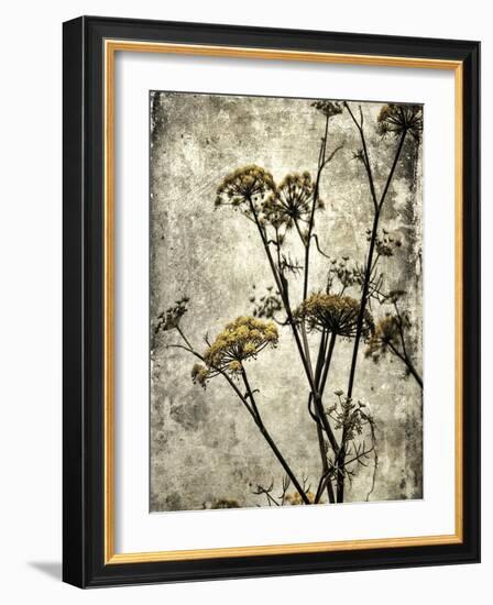 Big Sur Yarrow II-Honey Malek-Framed Art Print