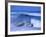 Big Surf at Papohaku Beach, Molokai, Hawaii, USA-Karl Lehmann-Framed Photographic Print