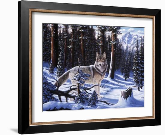 Big Timber-R.W. Hedge-Framed Giclee Print