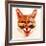 Big Town Fox-Robert Farkas-Framed Art Print