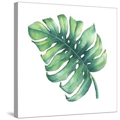 Big Tropical Green Leaf of Monstera Plant. Hand Drawn Watercolor Painting.  Premium Giclee Print | Art.com