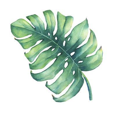 Big Tropical Green Leaf of Monstera Plant. Hand Drawn Watercolor Painting.  Premium Giclee Print | Art.com