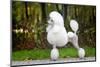 Big White Poodle Stands on the Path in the Park. Exterior-Dulova Olga-Mounted Photographic Print