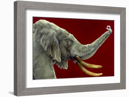 Big Wine-Will Bullas-Framed Giclee Print