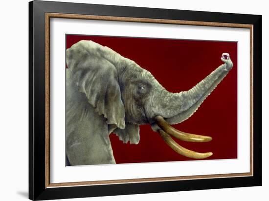 Big Wine-Will Bullas-Framed Giclee Print