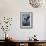 Bigfork, Montana - Eagle and Chicks-Lantern Press-Framed Art Print displayed on a wall