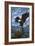 Bigfork, Montana - Eagle and Chicks-Lantern Press-Framed Art Print