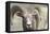 Bighorn Ram, Bighorn Sheep, Yellowstone National Park, Wyoming, USA-Gerry Reynolds-Framed Premier Image Canvas