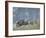 Bighorn Sheep Grazing in Idaho Primitive Area-John Dominis-Framed Photographic Print