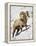 Bighorn Sheep (Ovis Canadensis) Ram in the Snow-James Hager-Framed Premier Image Canvas