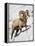 Bighorn Sheep (Ovis Canadensis) Ram in the Snow-James Hager-Framed Premier Image Canvas