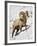 Bighorn Sheep (Ovis Canadensis) Ram in the Snow-James Hager-Framed Photographic Print