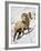 Bighorn Sheep (Ovis Canadensis) Ram in the Snow-James Hager-Framed Photographic Print