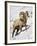 Bighorn Sheep (Ovis Canadensis) Ram in the Snow-James Hager-Framed Photographic Print