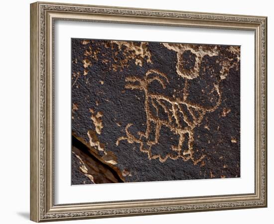 Bighorn Sheep Petroglyph, Petrified Forest National Park, Arizona, USA-James Hager-Framed Photographic Print