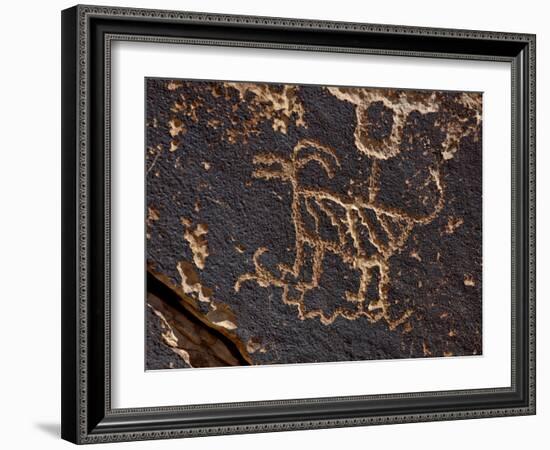 Bighorn Sheep Petroglyph, Petrified Forest National Park, Arizona, USA-James Hager-Framed Photographic Print