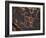 Bighorn Sheep Petroglyph, Petrified Forest National Park, Arizona, USA-James Hager-Framed Photographic Print