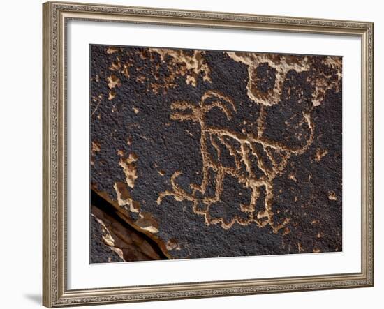 Bighorn Sheep Petroglyph, Petrified Forest National Park, Arizona, USA-James Hager-Framed Photographic Print