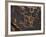 Bighorn Sheep Petroglyph, Petrified Forest National Park, Arizona, USA-James Hager-Framed Photographic Print