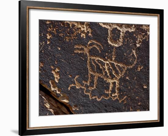 Bighorn Sheep Petroglyph, Petrified Forest National Park, Arizona, USA-James Hager-Framed Photographic Print