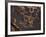 Bighorn Sheep Petroglyph, Petrified Forest National Park, Arizona, USA-James Hager-Framed Photographic Print