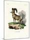 Premium Giclee Print