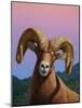 Bighorn-James W. Johnson-Mounted Giclee Print