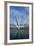 Bigo Panoramic Lift-null-Framed Photographic Print