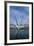 Bigo Panoramic Lift-null-Framed Photographic Print