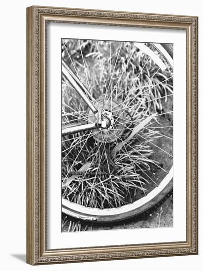 Bike Spoke-Karyn Millet-Framed Photographic Print