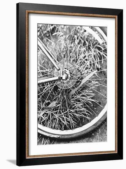 Bike Spoke-Karyn Millet-Framed Photographic Print