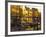 Bikes, Amsterdam, Holland-Peter Adams-Framed Photographic Print