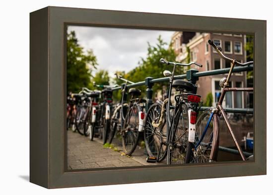 Bikes on Bridge II-Erin Berzel-Framed Premier Image Canvas