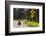 Biking, Adventure Cycling Glacier Waterton Tour, Fernie, British Columbia-Chuck Haney-Framed Photographic Print