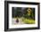 Biking, Adventure Cycling Glacier Waterton Tour, Fernie, British Columbia-Chuck Haney-Framed Photographic Print