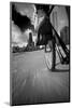 Biking Chicagos Lakefront BW-Steve Gadomski-Mounted Photographic Print