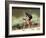 Biking in Vail, Colorado, USA-Lee Kopfler-Framed Photographic Print