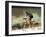 Biking in Vail, Colorado, USA-Lee Kopfler-Framed Photographic Print