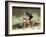 Biking in Vail, Colorado, USA-Lee Kopfler-Framed Photographic Print