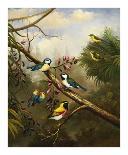 Birds of Plenty-Bilben-Framed Art Print