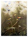 Birds of Plenty-Bilben-Art Print