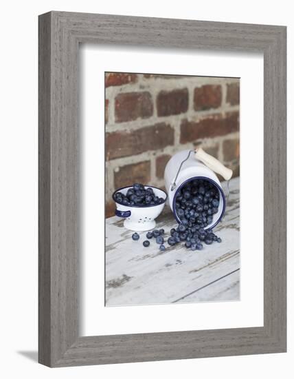 Bilberries with Enamelware-Andrea Haase-Framed Photographic Print