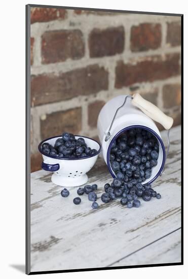 Bilberries with Enamelware-Andrea Haase-Mounted Photographic Print