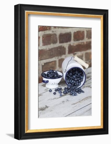 Bilberries with Enamelware-Andrea Haase-Framed Photographic Print